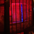 Лабораторія зомбі: втеча - квест кімната в Киеве , квест від Anabioz  2